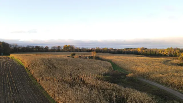 $699,000 | Killdeer Lane, Birnamwood, WI 54414