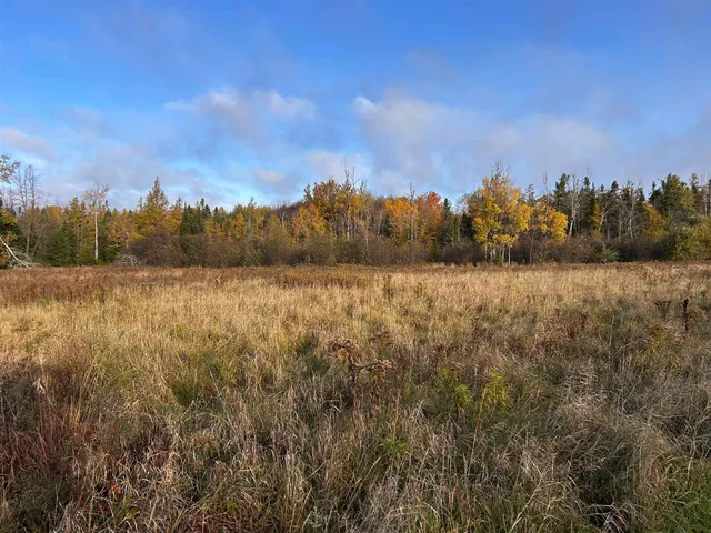 $699,000 | Killdeer Lane, Birnamwood, WI 54414