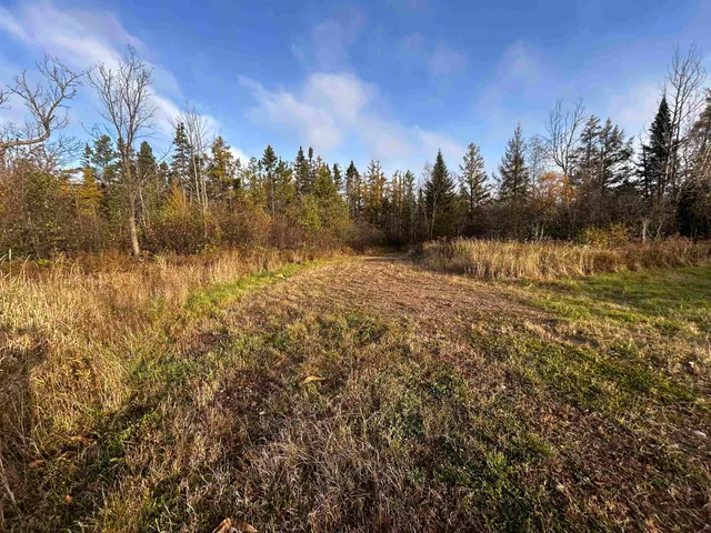 $699,000 | Killdeer Lane, Birnamwood, WI 54414