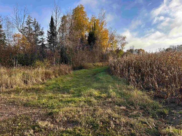 $699,000 | Killdeer Lane, Birnamwood, WI 54414