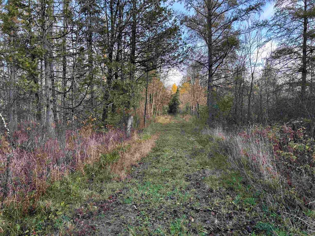 $699,000 | Killdeer Lane, Birnamwood, WI 54414