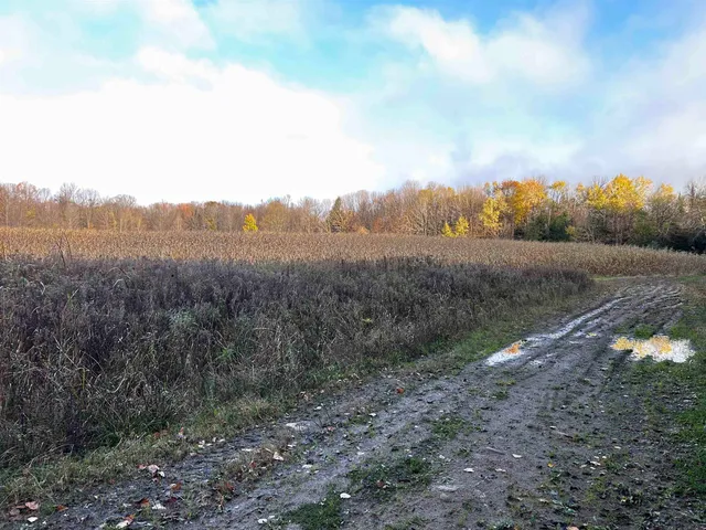 $699,000 | Killdeer Lane, Birnamwood, WI 54414