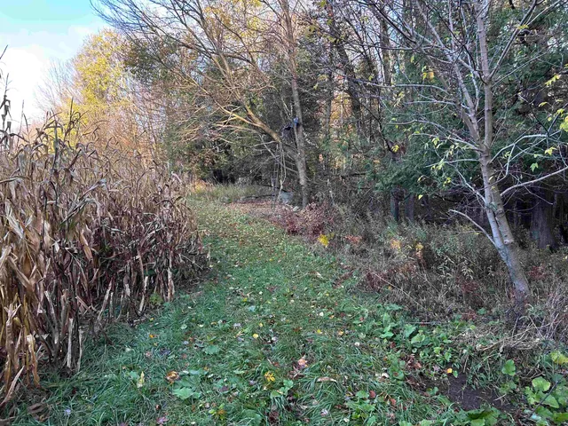 $699,000 | Killdeer Lane, Birnamwood, WI 54414