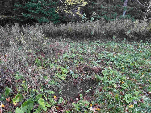 $699,000 | Killdeer Lane, Birnamwood, WI 54414