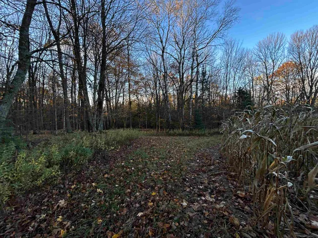 $699,000 | Killdeer Lane, Birnamwood, WI 54414