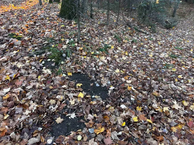 $699,000 | Killdeer Lane, Birnamwood, WI 54414