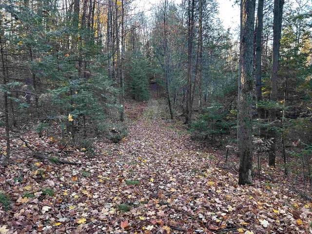 $699,000 | Killdeer Lane, Birnamwood, WI 54414