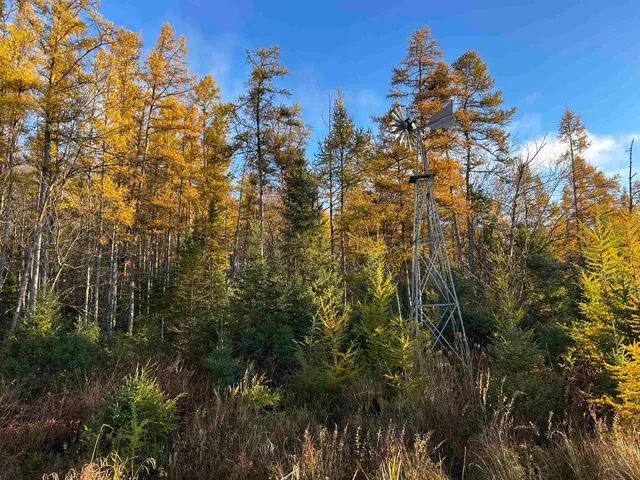 $699,000 | Killdeer Lane, Birnamwood, WI 54414