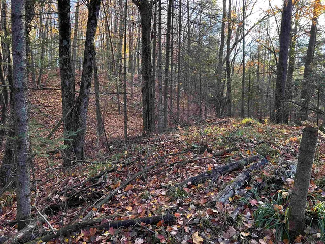 $699,000 | Killdeer Lane, Birnamwood, WI 54414