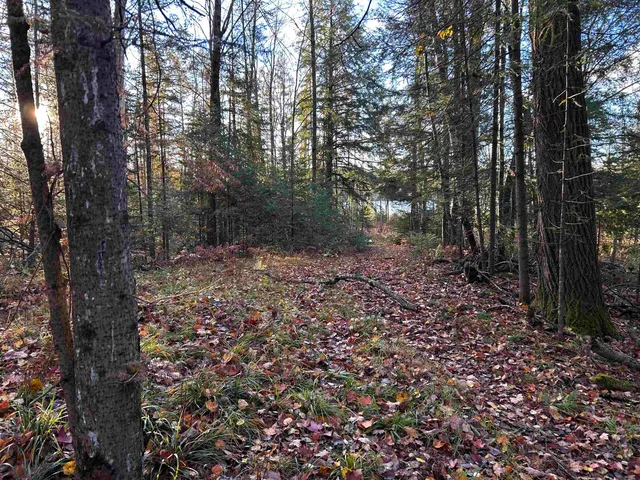 $699,000 | Killdeer Lane, Birnamwood, WI 54414