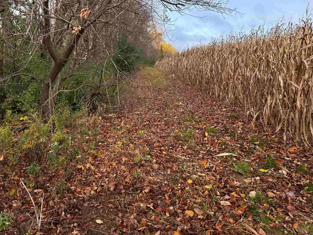 $699,000 | Killdeer Lane, Birnamwood, WI 54414