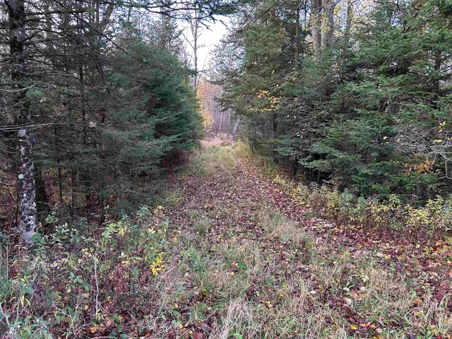 $699,000 | Killdeer Lane, Birnamwood, WI 54414