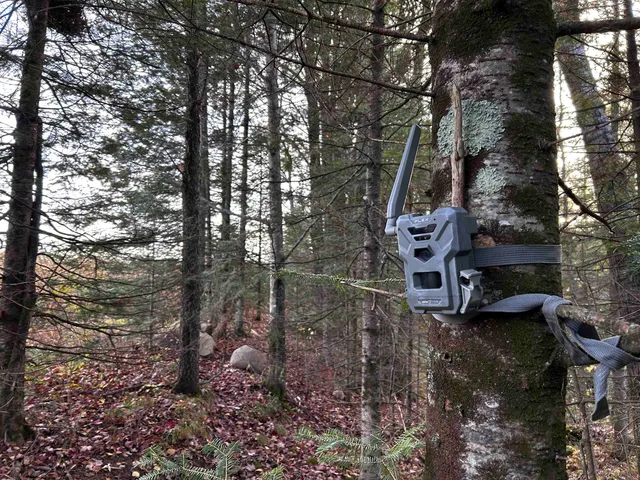 $699,000 | Killdeer Lane, Birnamwood, WI 54414