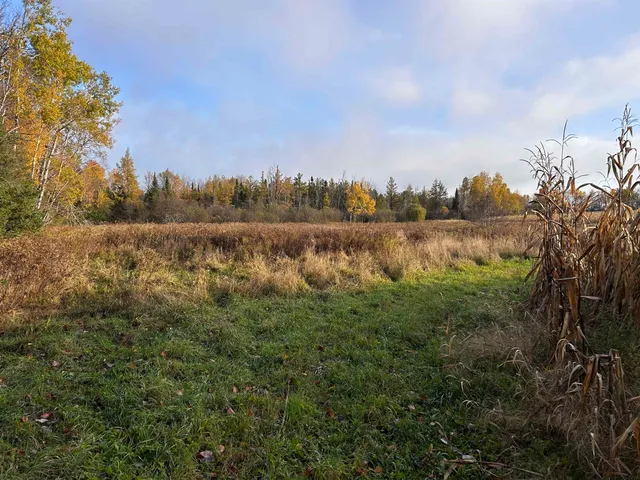 $699,000 | Killdeer Lane, Birnamwood, WI 54414