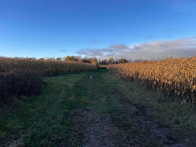 $699,000 | Killdeer Lane, Birnamwood, WI 54414