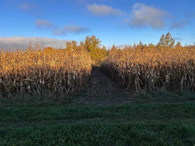 $699,000 | Killdeer Lane, Birnamwood, WI 54414