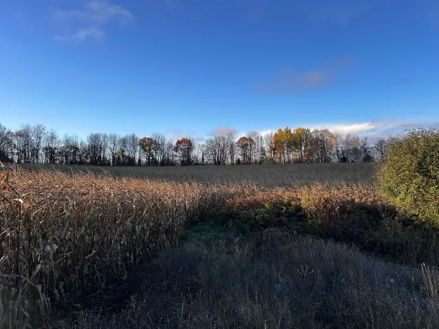 $699,000 | Killdeer Lane, Birnamwood, WI 54414