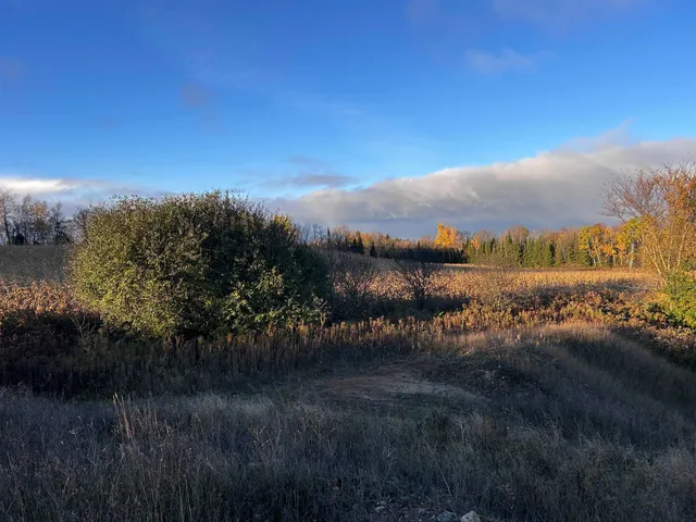 $699,000 | Killdeer Lane, Birnamwood, WI 54414