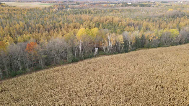 $699,000 | Killdeer Lane, Birnamwood, WI 54414