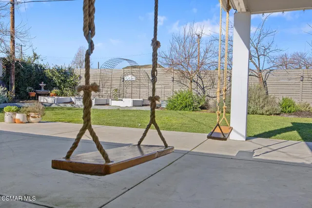 a view of a tree with a tree