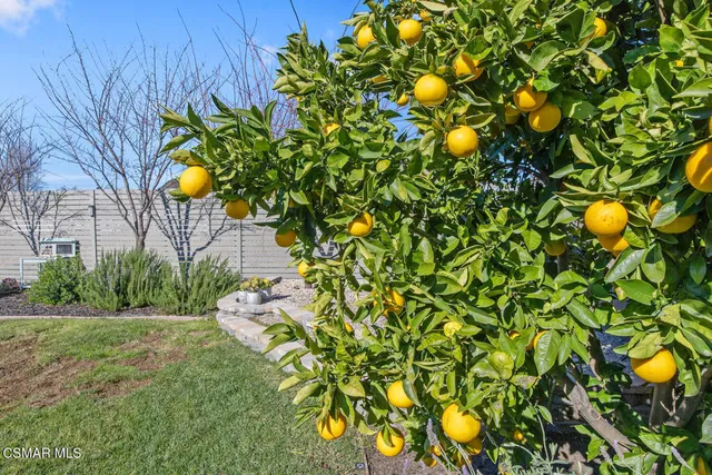 a view of a house with a yard porch and sitting area