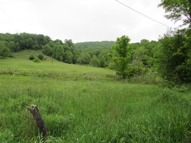 Tbd Flat Ridge Road Troutdale, VA 24378 - Photo 2 of 26 Gallery Image 2