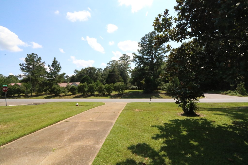 707 Dale Co Road Dothan, AL 36305 - Photo 23 of 23 View across the street.