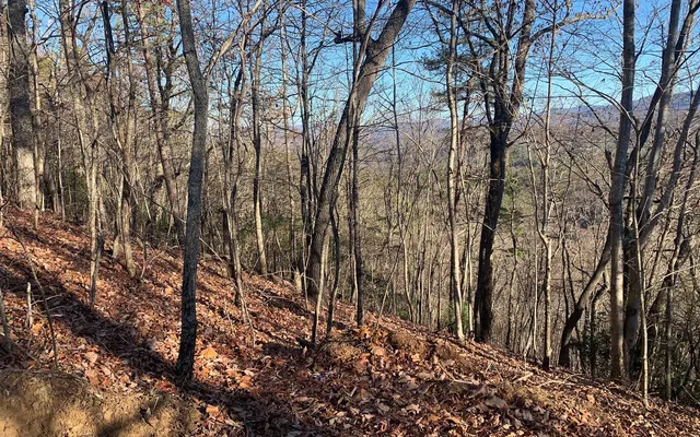 $29,900 | Lot25 Laurel Mountain Drive, Brasstown, NC 28902