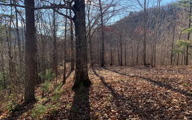$29,900 | Lot25 Laurel Mountain Drive, Brasstown, NC 28902