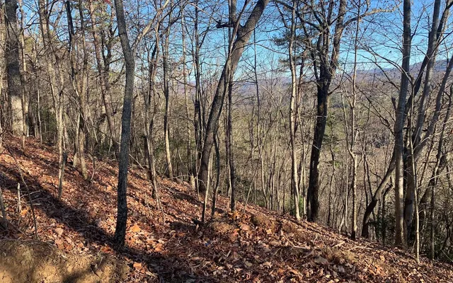 $29,900 | Lot25 Laurel Mountain Drive, Brasstown, NC 28902