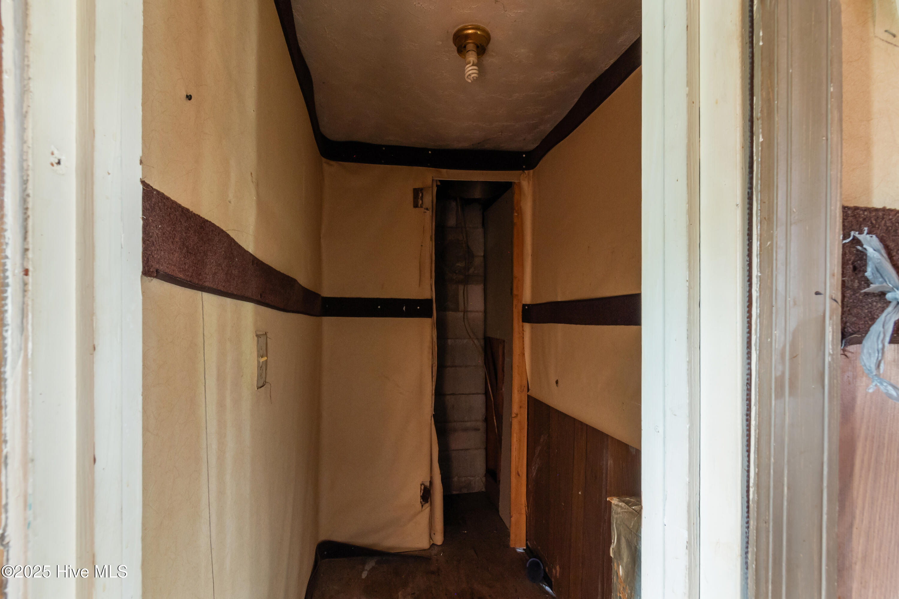 215 Turkey Branch Road Beulaville, NC 28518 - Photo 11 of 19 DSC_6596