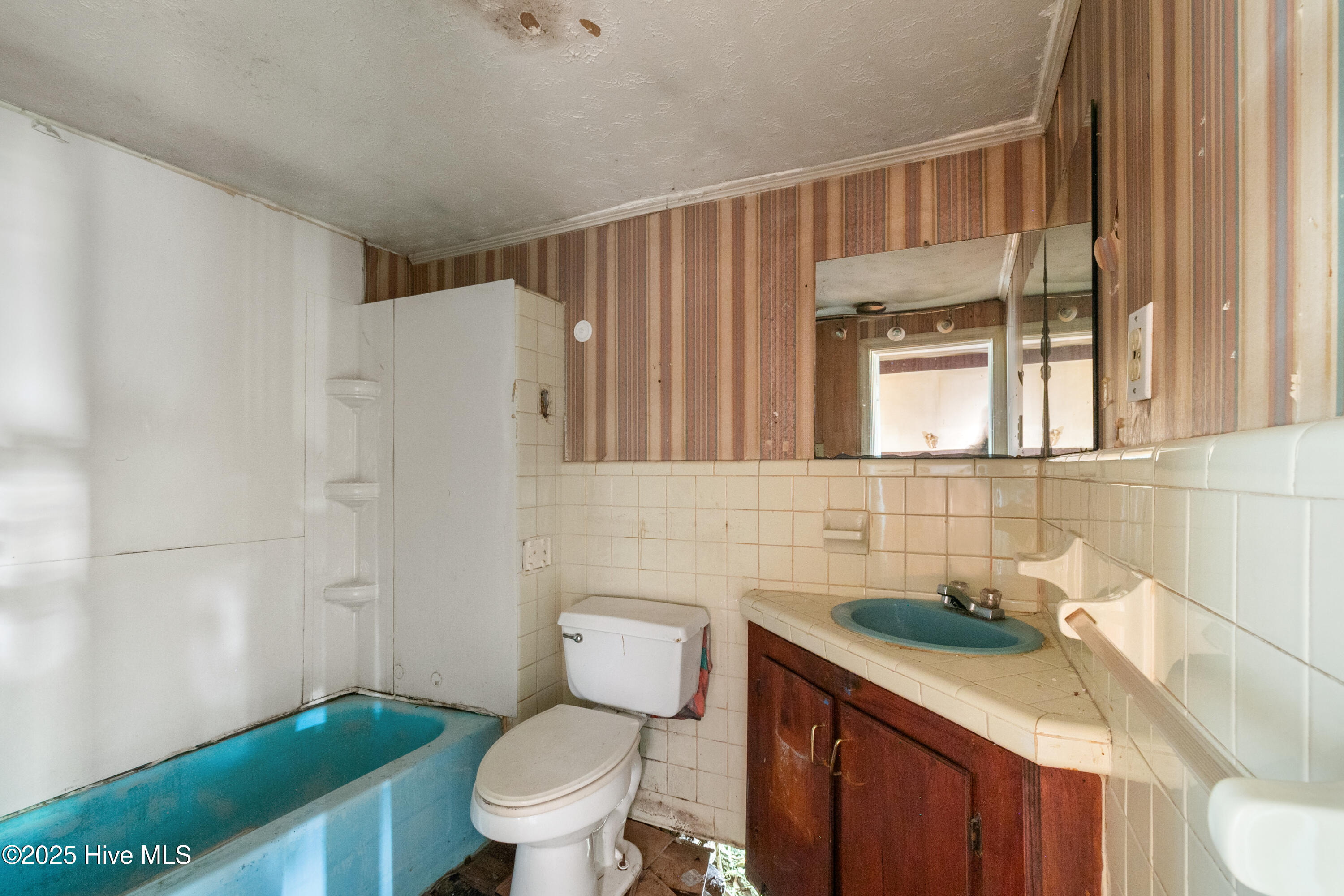 215 Turkey Branch Road Beulaville, NC 28518 - Photo 12 of 19 DSC_6599