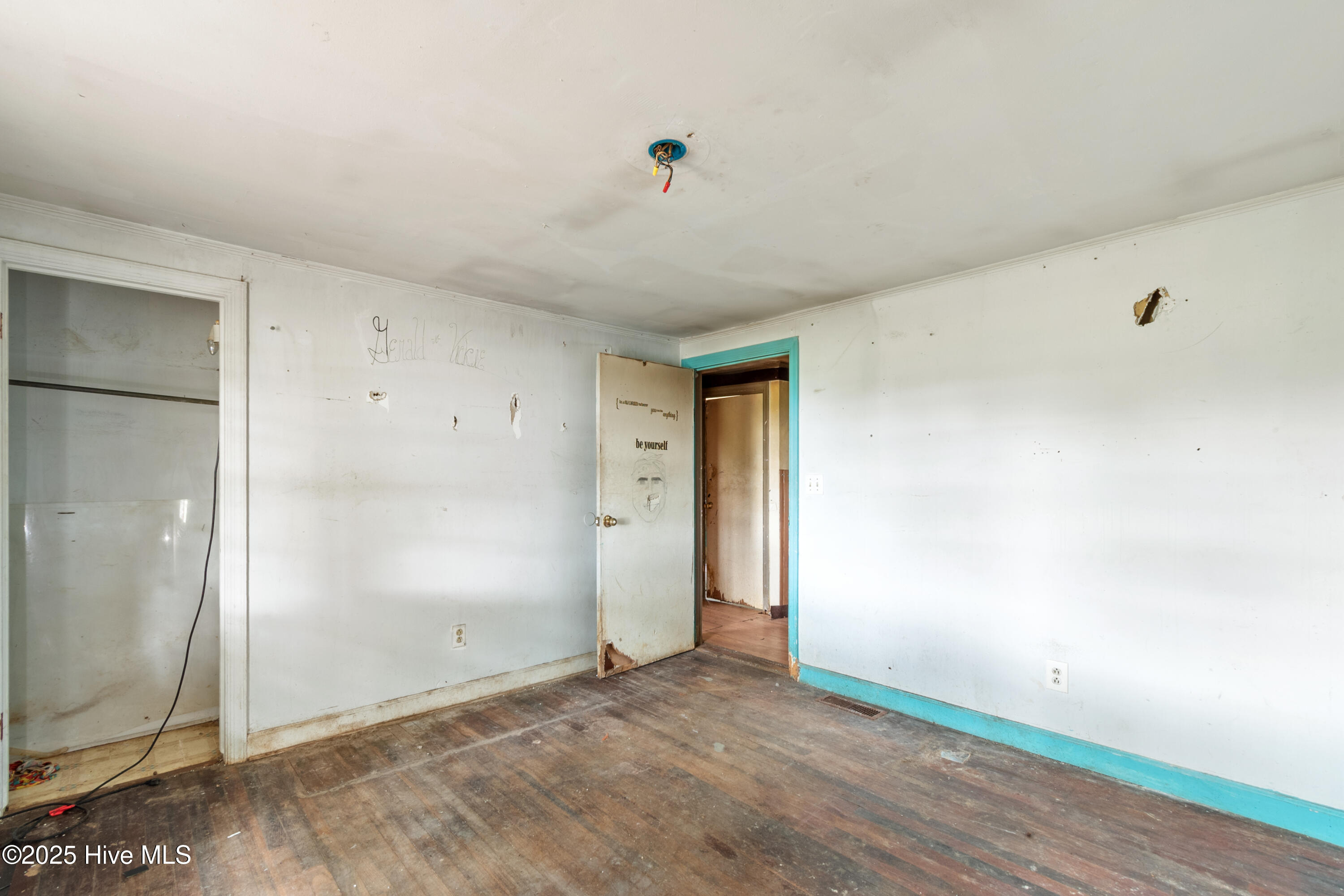 215 Turkey Branch Road Beulaville, NC 28518 - Photo 16 of 19 DSC_6605