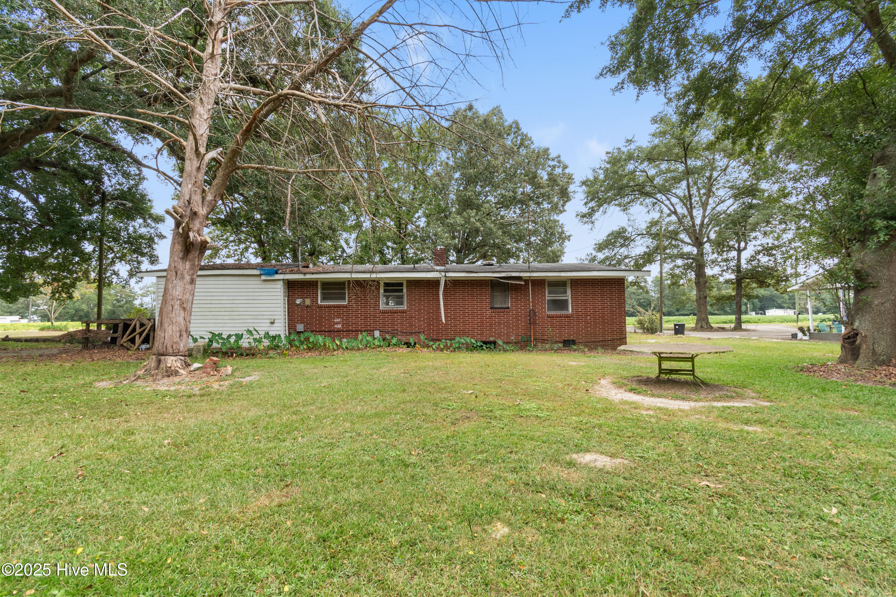 215 Turkey Branch Road Beulaville, NC 28518 - Photo 4 of 19 DSC_6574