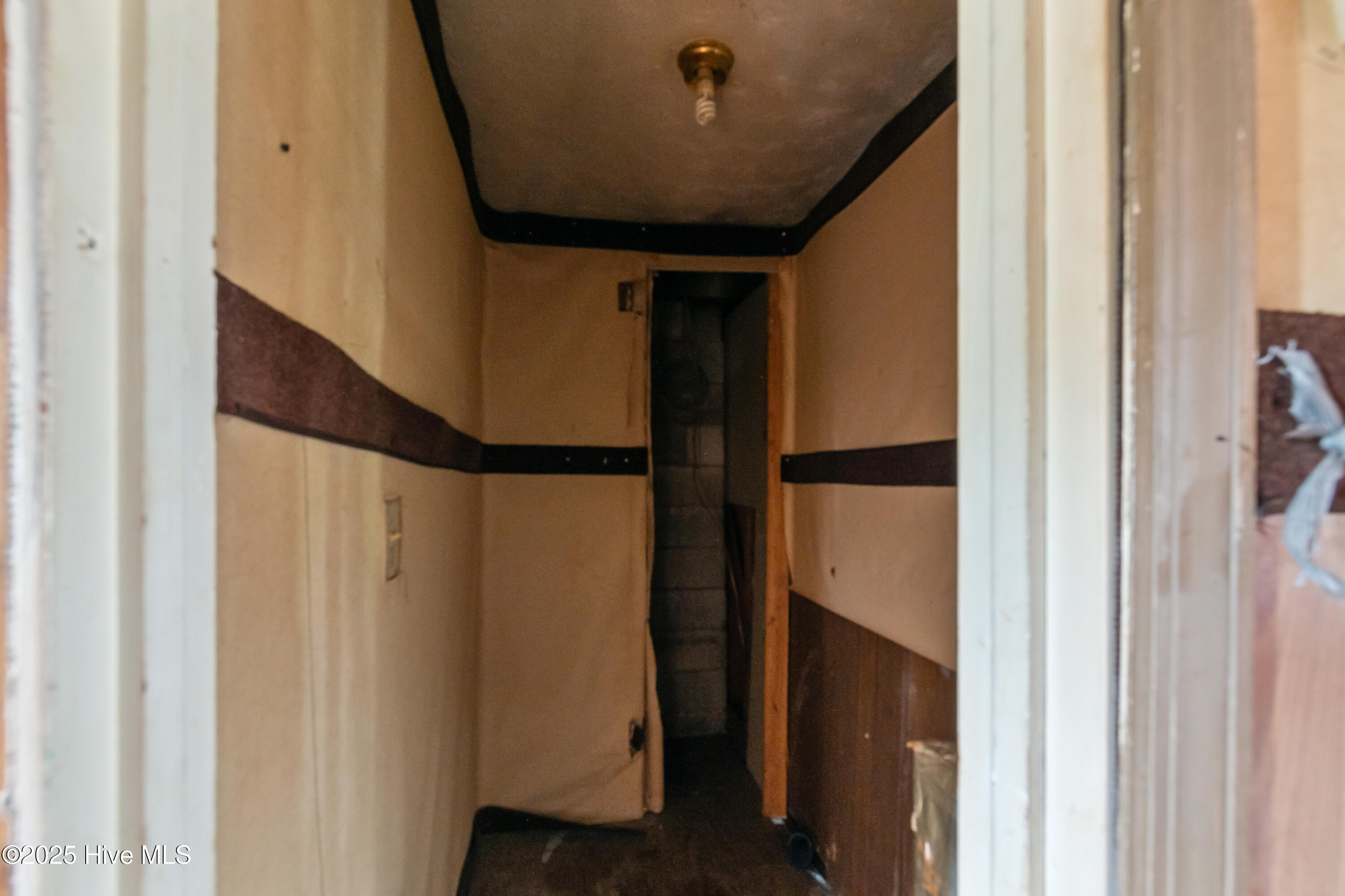 215 Turkey Branch Road Beulaville, NC 28518 - Photo 10 of 19 DSC_6593