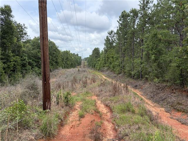 0 Thigpen Road Franklinton, LA 70438 - Photo 14 of 34
