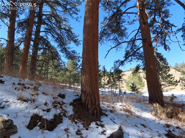 203 Pine Road Florissant, CO 80816 - Photo 8 of 20