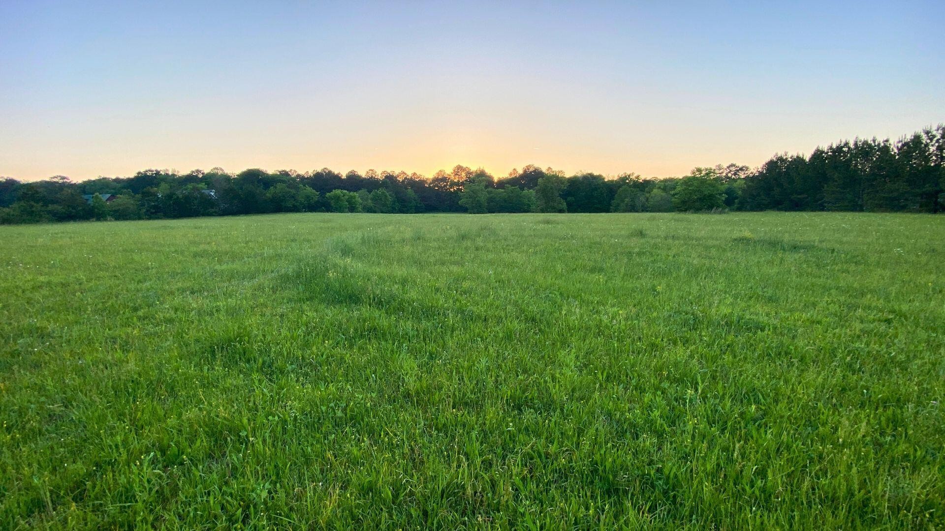 0 Thomas Road Benton, TN 37307 - Photo 11 of 16