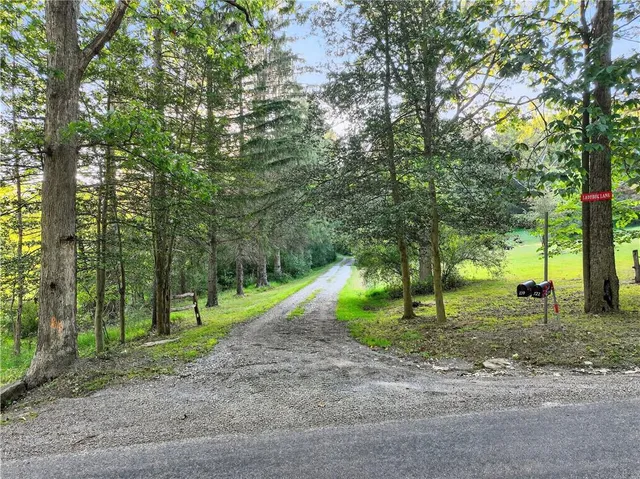 a view of outdoor space with trees