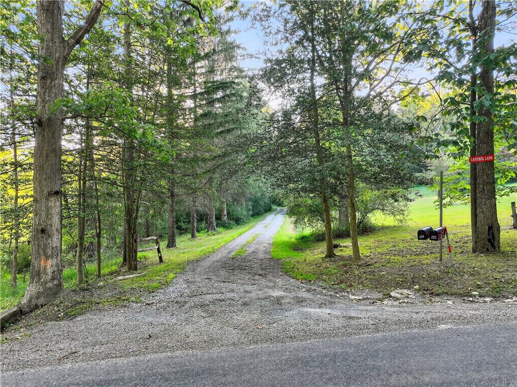 139 Ladybug Lane Ligonier, PA 15658 - Photo 27 of 33 a view of outdoor space with trees