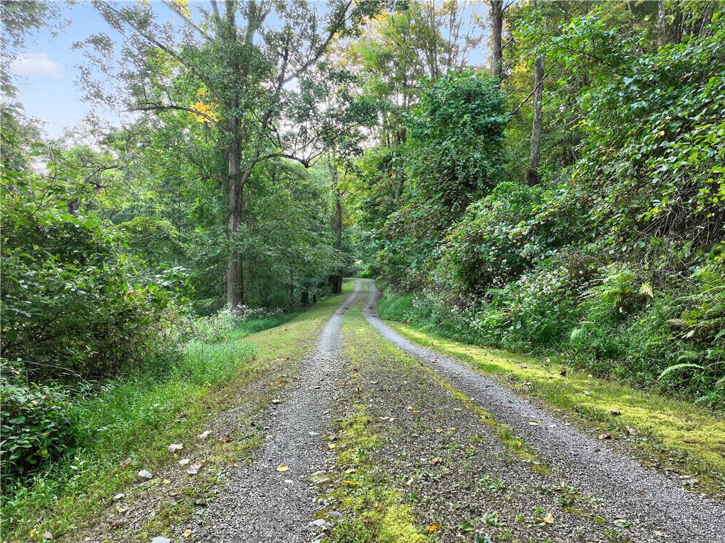 139 Ladybug Lane Ligonier, PA 15658 - Photo 28 of 33 a view of a yard with plants and a small yard