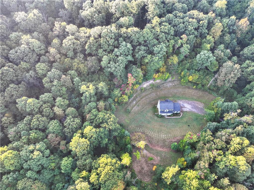 139 Ladybug Lane Ligonier, PA 15658 - Photo 3 of 33 a picture of trees