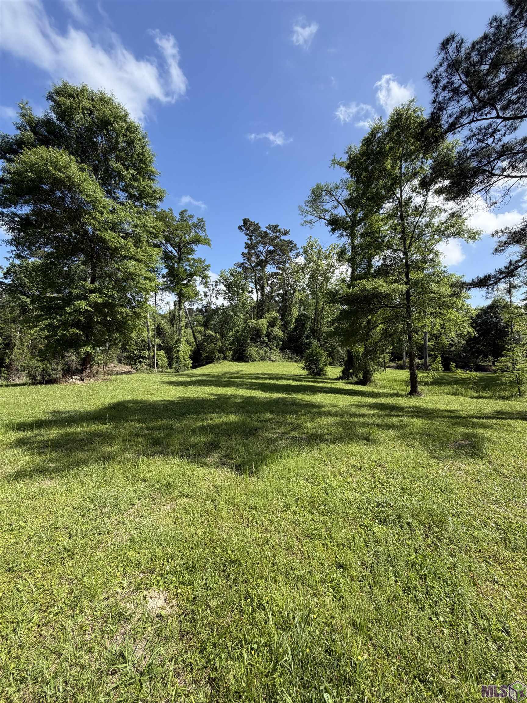 17635 Melancon Road Livingston, LA 70754 - Photo 35 of 40 Gallery Image 35
