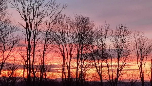 $889,500 | 977 Bates Road, Shoreham, VT 05770