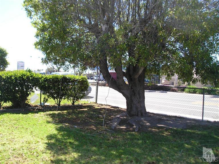 4900 Saviers Road Oxnard, CA 93033 - Photo 5 of 14 a view of outdoor space with garden