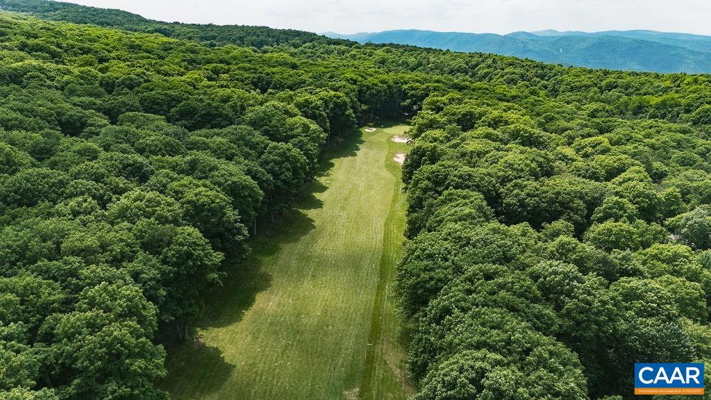 20 Blue Ridge Court Roseland, VA 22967 - Photo 51 of 56