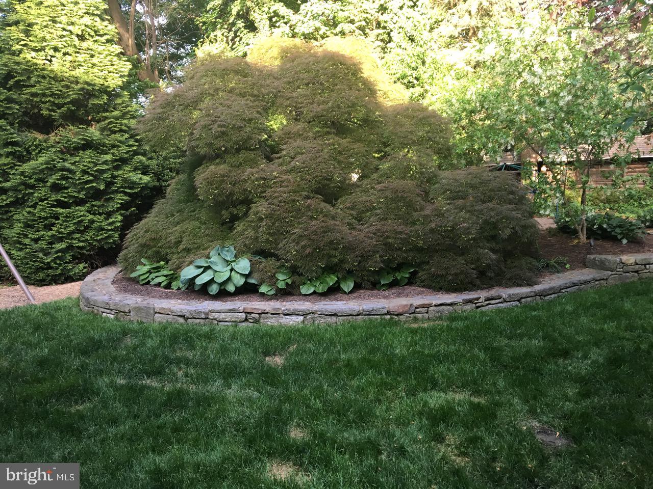 635 Mulford Road Wyncote, PA 19095 - Photo 45 of 45