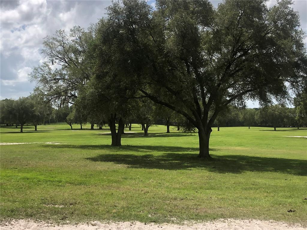 30th Street Morriston, FL 32668 - Photo 3 of 5