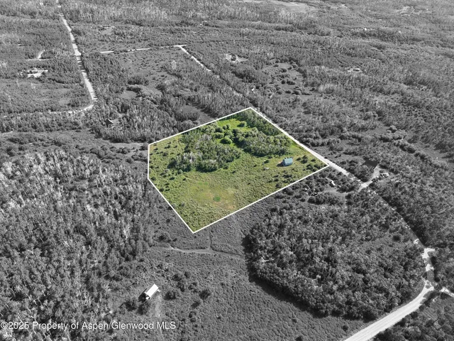a view of a city with lush green forest