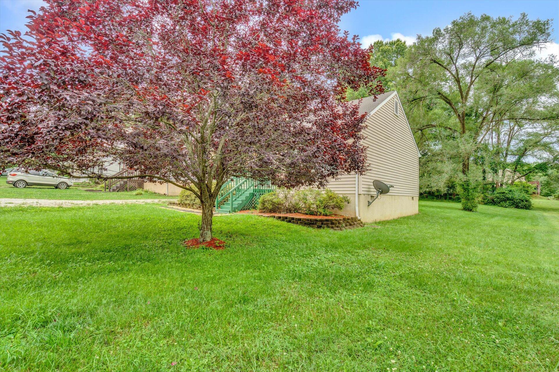 1325 Thomason Road Southeast Roanoke, VA 24014 - Photo 2 of 19 03-SHOWS GREAT-23